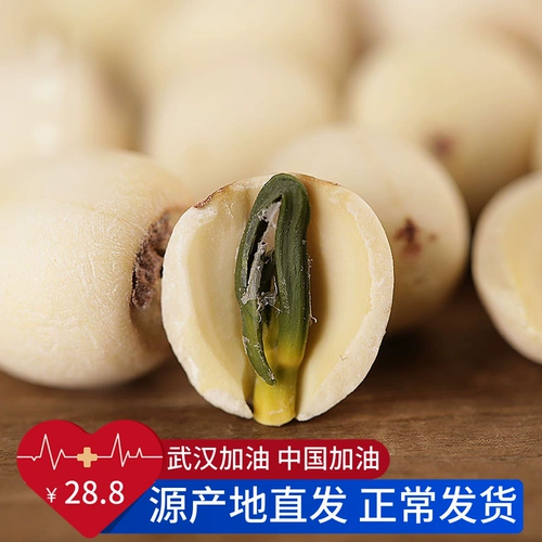 В этом году новые фермерские фермеры Самоапрестанные семена лотоса лотоса