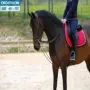 Decathlon ngựa reins cưỡi ngựa thể thao bền điều chỉnh dây da FOUGANZA yên ngựa da