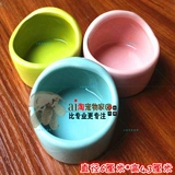 Молот золотой ежа ежа керамика кастрюли ратанцы