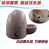 Керамический питомец Автоматический питьевой водонагреватель