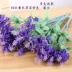 Hoa oải hương hoa nhựa hoa nụ hoa kỹ thuật hoa trang trí giường hoa giả trung tâm mua sắm hoa bố trí cảnh quan Provence - Hoa nhân tạo / Cây / Trái cây Hoa nhân tạo / Cây / Trái cây