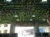 Mô phỏng cây nho lá nho hoa giả hoa màu xanh lá cây trần nhà tường xanh ống nước trang trí treo vướng víu - Hoa nhân tạo / Cây / Trái cây