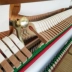 Đàn piano Đức Châu Âu Người lớn Nhà dành cho Sinh viên Trẻ em Người mới bắt đầu Chuyên nghiệp 88 Phím Qinqin Màu gỗ Qinqin - dương cầm dương cầm