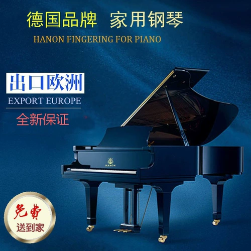 Импортное профессиональное элитное пианино для взрослых для школьников, Германия, 88 клавиш