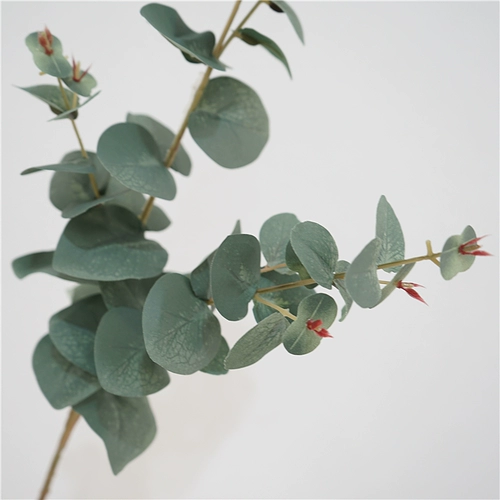 Моделирование зеленое растение одиночное одногали евали ye nordic hyundai