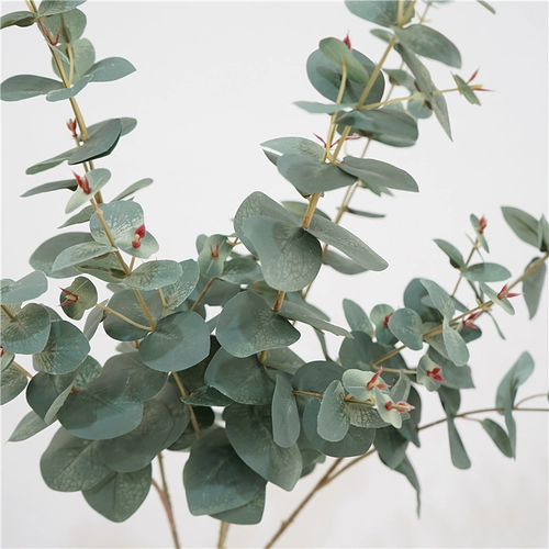 Моделирование зеленое растение одиночное одногали евали ye nordic hyundai