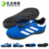 Zaji Sports Adidas Adidas đội TF người cỏ gãy móng giày bóng đá nam AQ4299 BB0561 mẫu giày thể thao nam đẹp Giày bóng đá