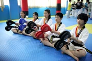 Taekwondo chân mục tiêu trẻ em người lớn thiết bị đào tạo đá mục tiêu chân gà mục tiêu đôi lá xử lý mục tiêu chân tấm - Taekwondo / Võ thuật / Chiến đấu
