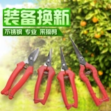 Фрукты из нержавеющей стали фрукты цитрусовые ножницы и ножницы собирают фрукты и разрезающие фруктовые деревья.