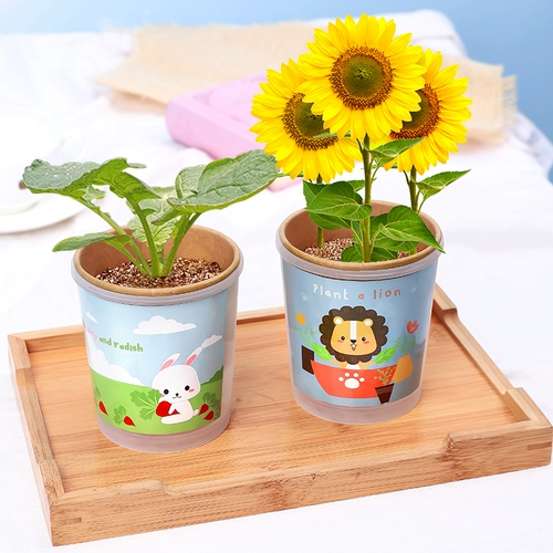 Douyin Tyme Internet знаменитости отправляют подруги для выпускников классных девушек - особенно креативные, практические ученики начальной школы Небольшие подарки, подарки