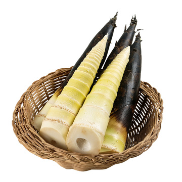 三峡时令新鲜蔬菜春笋 雷笋鲜竹笋春雷笋5斤装现挖笋尖