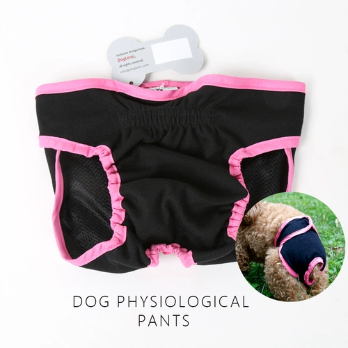 Золотой ретривер биотехнологические домашние животные Тедди Аллах штаны Средний канон Сломанные собаки анти -харассирующие брюки.