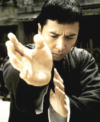 Специальное предложение Wing Chun Boxing Teaching Video Zero Basic Self -Study введение Учебное пособие Скачать полный набор Ye Wen Master Mater Arts Начальная школа