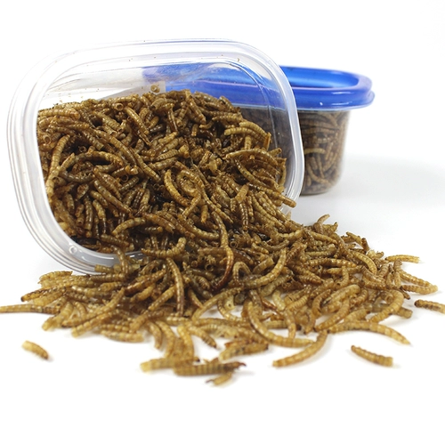 Лапша хомяка, сушеный золотой шелковый медведь Трехноколонный желтый порошок червя сухой закуски, маленькая домашняя ежа