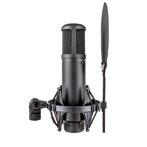 SE 2200 Профессиональная запись микроконтроллера Музыкальный инструмент Микрофон Запись города Голоса и пения k Песня