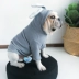 Chó thú cưng chiến đấu quần áo Keji Bago Teddy quần áo chó trung bình tai thỏ dễ thương phim hoạt hình mùa xuân và mùa thu quần áo - Quần áo & phụ kiện thú cưng áo cho mèo mùa đông Quần áo & phụ kiện thú cưng