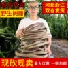 Товары от 三叶仿真植物