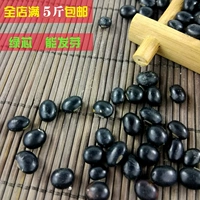 Фермеры зеленый ядро ​​черная фасоль Bug Big Black Beans