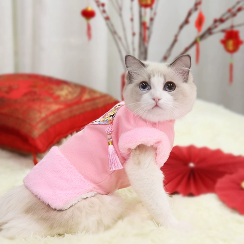 Зимние щенки домашних животных в зимнем утолщенном хлопковом пальто плюшевая Померанский медвежь