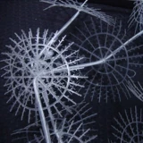 Оборудование для очистки сточных вод скважина кислородная пленка специальная полуотгольная наполнителя биологическая фильтрация материал снежинки таблетки горячая продажа