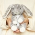 Nhật Bản iplaybox dễ thương thỏ dễ thương đồ chơi búp bê sang trọng trang trí búp bê trang trí lop thỏ con quà tặng - Đồ chơi mềm