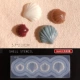 06 Shell Camellia