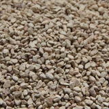 Сочные растения сажающихся почвы диатоме