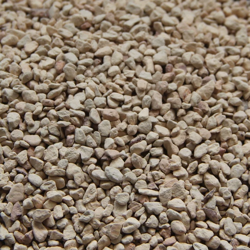 Сочные растения сажающихся почвы диатоме