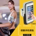 iPhone5S túi đeo tay thoáng khí Apple 4S chạy ngoài trời với cánh tay thể thao đặt túi đeo tay điện thoại di động với túi xách tay túi đựng điện thoại tập thể dục Túi xách
