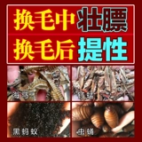 Магазин возвращается к Qiandou Skin King's Secret ручной ручной работы ручной работы птиц, птичья корм для птиц, корм