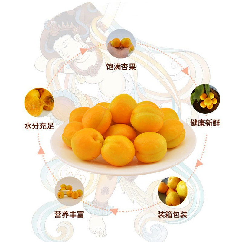 甘肃农产品产地直发