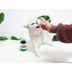 Thú cưng dễ thương tự nhiên màu xanh lá cây vet "> <kiểu đầu vào = - Cat / Dog Health bổ sung sữa cho chó con mới đẻ Cat / Dog Health bổ sung