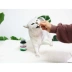Thú cưng dễ thương tự nhiên màu xanh lá cây vet "> <kiểu đầu vào = - Cat / Dog Health bổ sung sữa bột cho mèo Cat / Dog Health bổ sung
