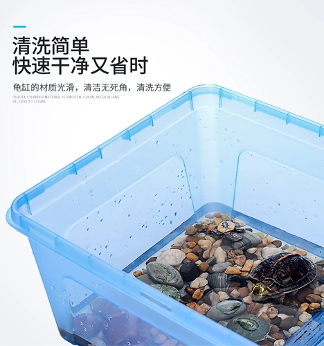 Танк Черепаха с полуотедвированной коробкой для размножения черепах, бразильской черепахой Желтой край желтый горло и прозрачные саженцы на земле