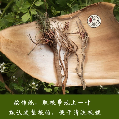 Материалы горной китайской медицины в китайской медицине Chaihu Sichuan Wild Bupleurum имеет тестовый отчет