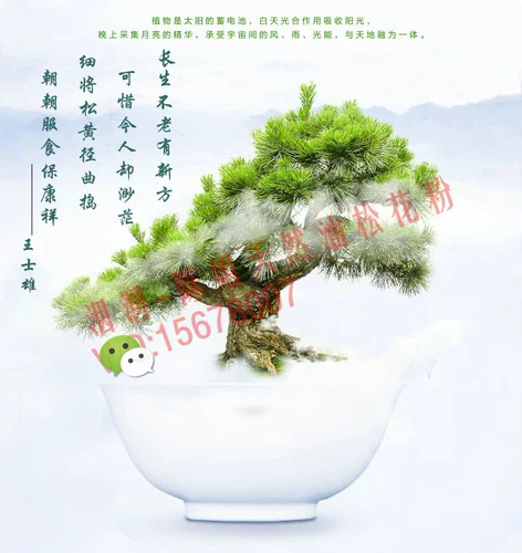 Шаг сосны высокая сосна сосна цветочное вино вино вино сорня сорня сорго сорго сорго сорго сорго 52 градуса 100 мл*6 бутылок