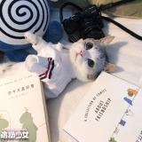 Кошка кошка кошка собака осень и весна осень нежная джентльменская рубашка юбка для рубашки Skinari Teddy Pets Style