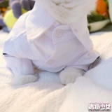 Кошка кошка кошка собака осень и весна осень нежная джентльменская рубашка юбка для рубашки Skinari Teddy Pets Style