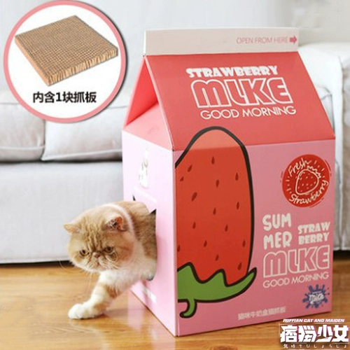 Домик, коробка, износостойкая вилла, кот, осенний