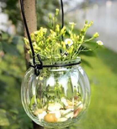 Furniture glass pumpkin vase hydroponic basket bottle hydroponics container