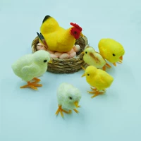 Куриный гнездо+5 курица