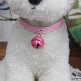 Чокер, колокольчик, кролик, декор, домашний питомец, кот