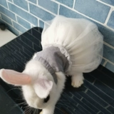 Кролик, юбка, платье-комбинация, жилет, домашний питомец, кот