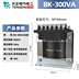 máy biến áp 1 pha Tianzheng BK-50~3000VA biến áp điều khiển AC 380V lần lượt 220 110 36 24 12 đồng nguyên chất cách ly máy biến điện áp Điều khiển điện