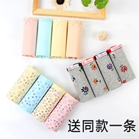 Tổng cộng 5 Luohua đồ lót nữ cotton đích thực giữa thắt lưng bông túi hip bông vải căng cotton in ấn tam giác shop đồ lót đẹp