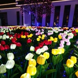 Корейская светодиодная симуляция тюльпана тюльпан цветочный морской фонарь открытый парк цветочный коридор фестиваль освещение водонепроницаемое свет