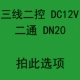 Светло -желтый двойной контроль DC12V Two -Tay D20