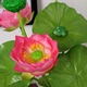 Vải giả hoa sen nhân tạo hoa nhựa hoa lily nước hoa sen hồ cảnh trang trí rãnh cắm hoa - Hoa nhân tạo / Cây / Trái cây