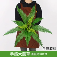 Флуоресцентный желтый чувствует большую траву папоротника