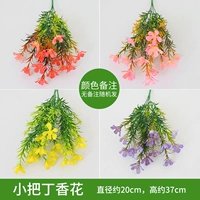 Синий маленький цветок